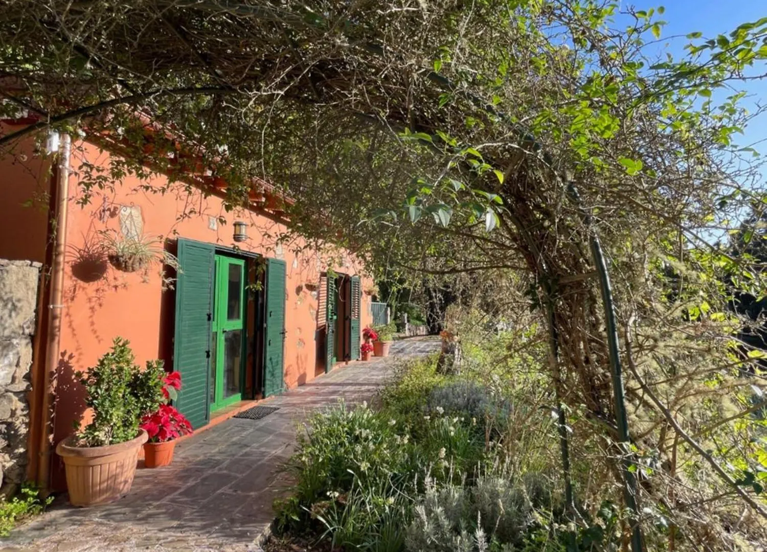 Finca El Lance Zumacal Firgas 0*,  España
