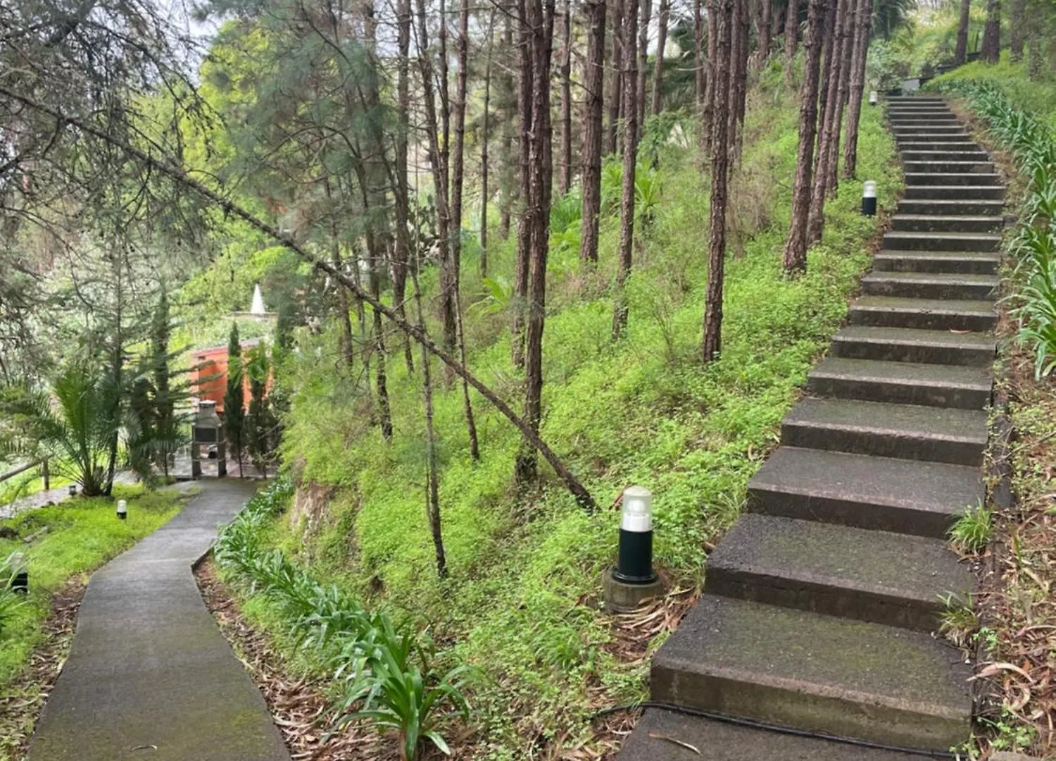Finca El Lance Zumacal Firgas Villa