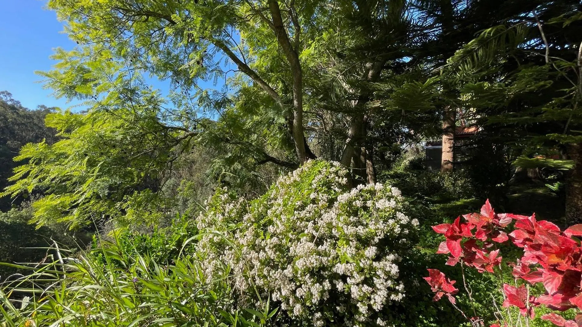 Villa Finca El Lance Zumacal Firgas España