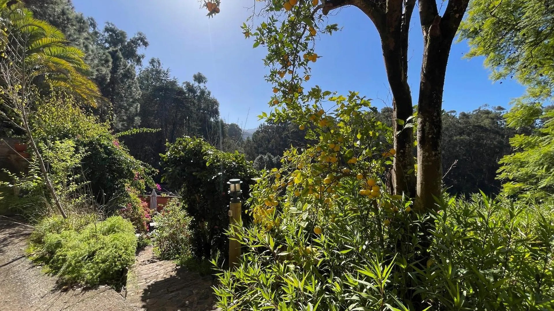 Finca El Lance Zumacal Firgas