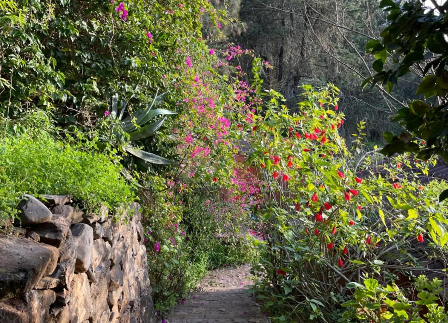 Finca El Lance Zumacal Firgas Villa