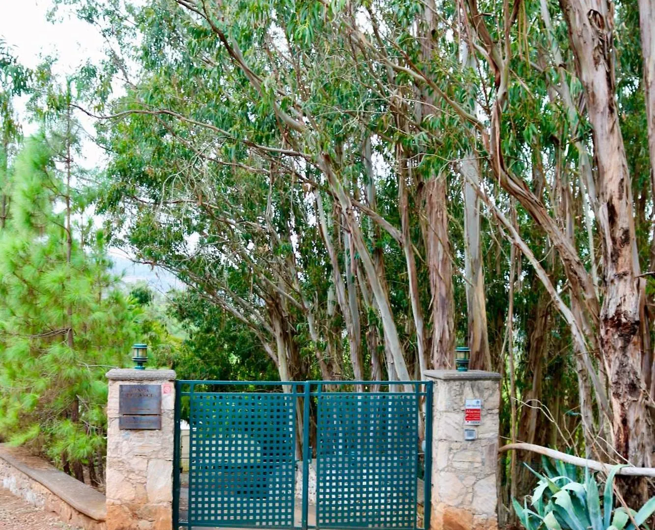 Villa Finca El Lance Zumacal Firgas